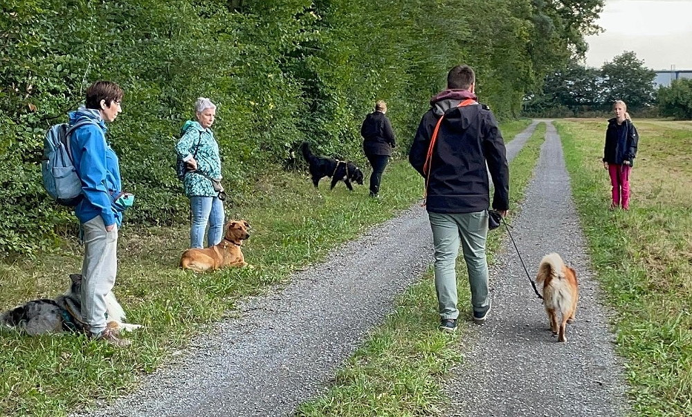 Leinenführigkeitskurs Training am Waldrand