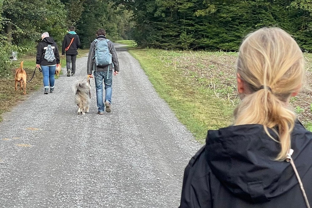 Hunde 1x1 Training auf dem Feldweg